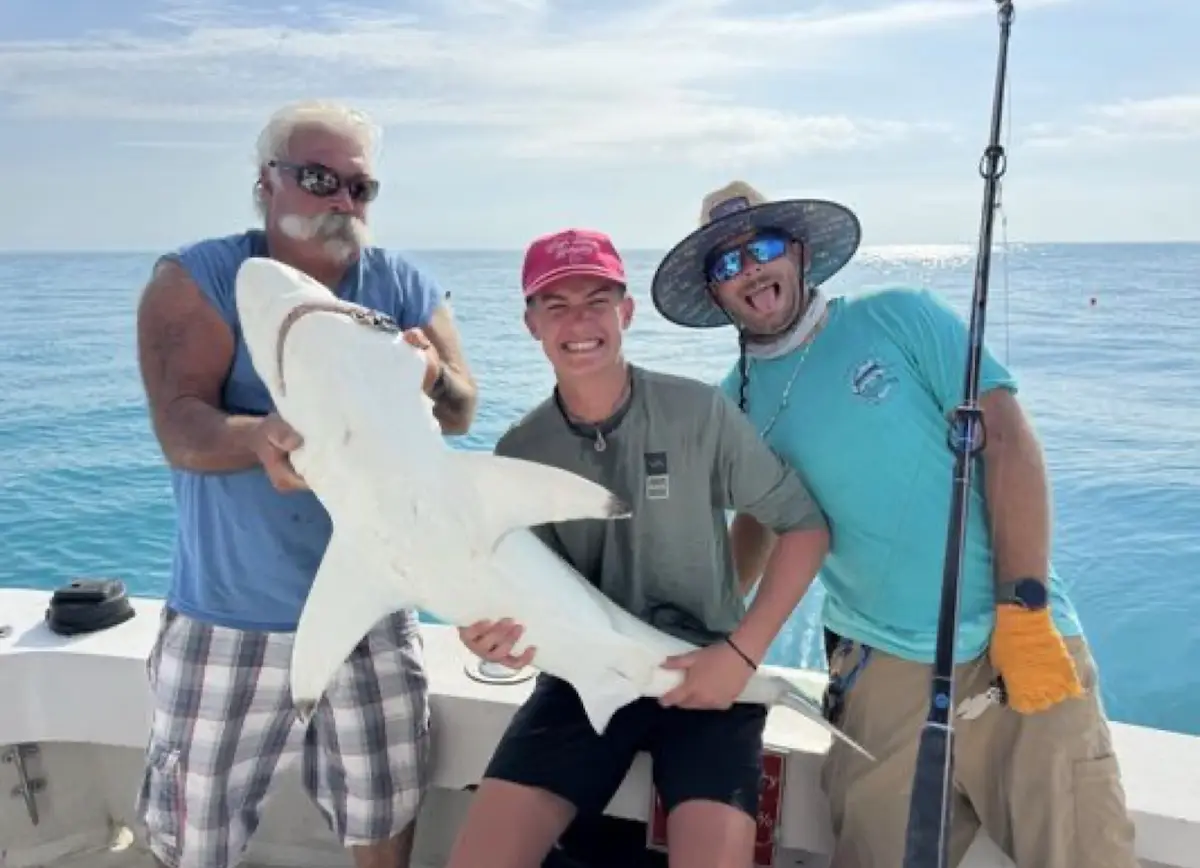 Group holding a shark during catch and release