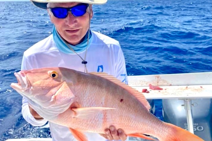 a person holding a fish in the water