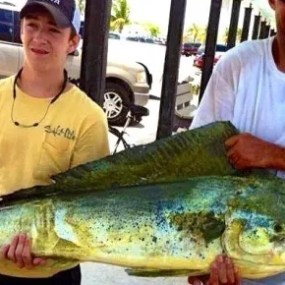 a man holding a fish