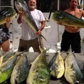 a person holding a fish on a boat