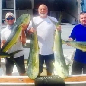 a person holding a fish on a boat
