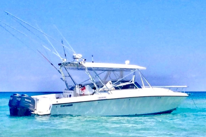 a blue and white boat sitting next to a body of water