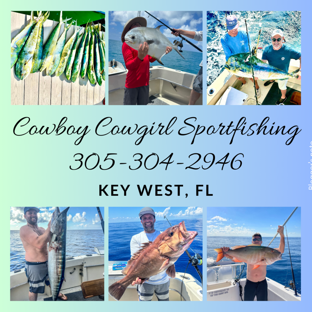 Photo collage of various fish caught in Key West Florida, including mahi-mahi, tarpon, tuna, sailfish, snapper, grouper, and several shark species