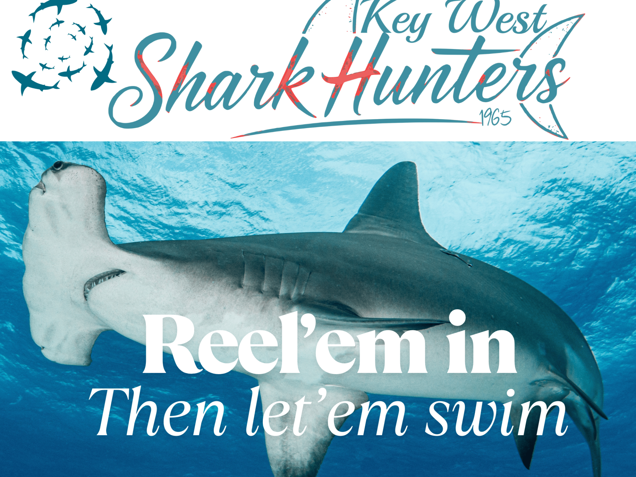 Key West Shark Hunters logo and slogan “Reel 'em in, then let 'em swim” overlaid on a dramatic shark image used for social sharing and branding