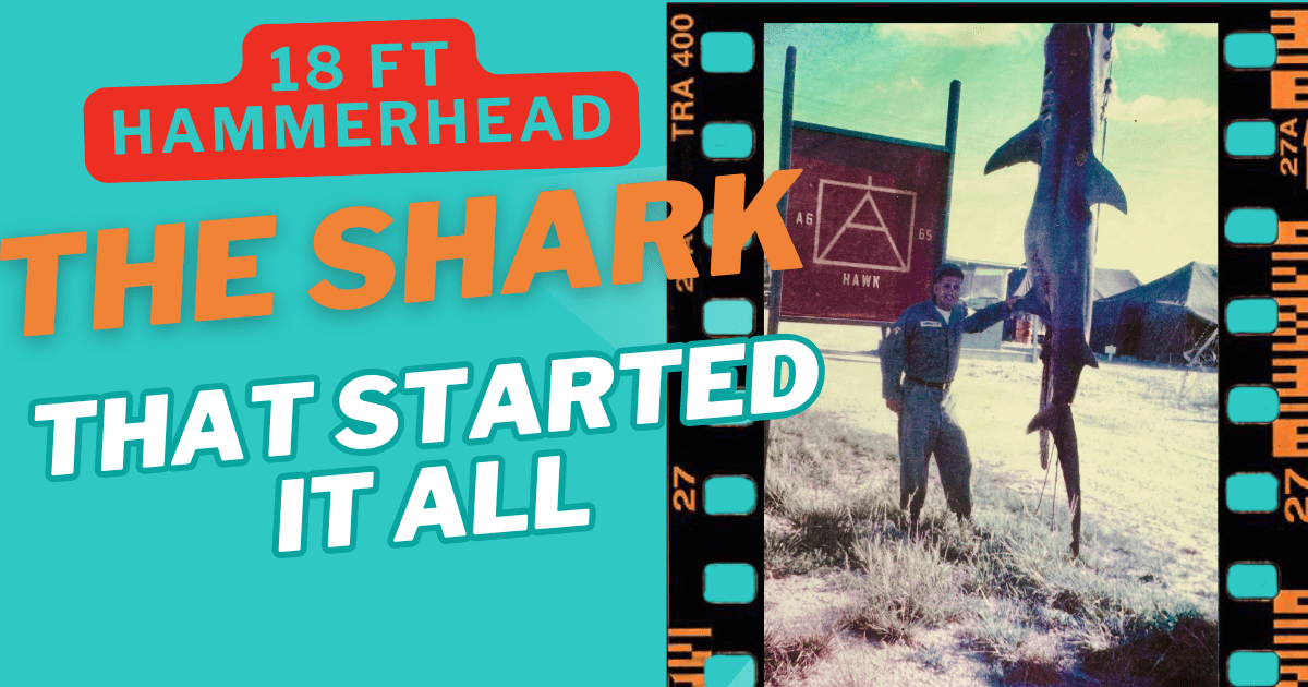Historic photo of an 18-foot great hammerhead caught in 1965 by the founder of Cowboy Charters, the start of Key West’s best shark fishing tradition